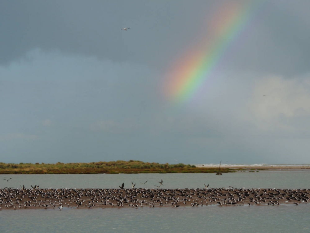 "Arco iris" de Alfredo Magadn