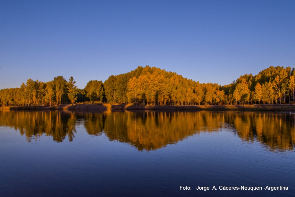 "`verde-amarelo`" de Jorge A. Cceres