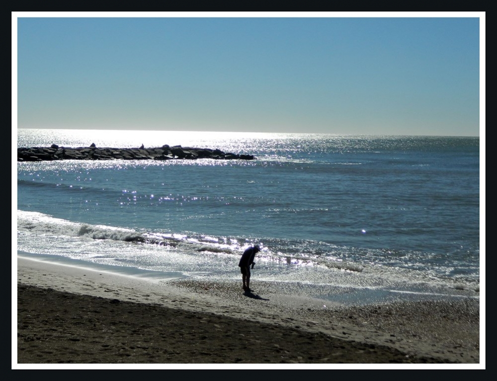 "Buscando mejillones.. !!" de Miguel Angel Simili