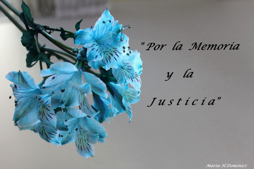 "Por la Verdad y la Justica" de Marta Dominici