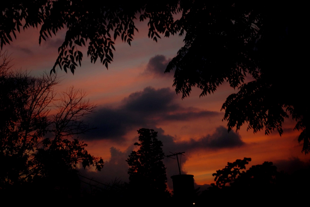 "Cielo encendido...." de Rosa Andrada