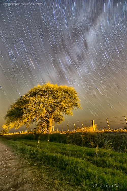 "Una nocturna en Eduardo Castex." de Damin Avila