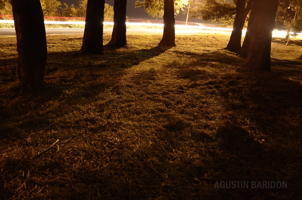 "Parque y luces" de Agustin. Baridon