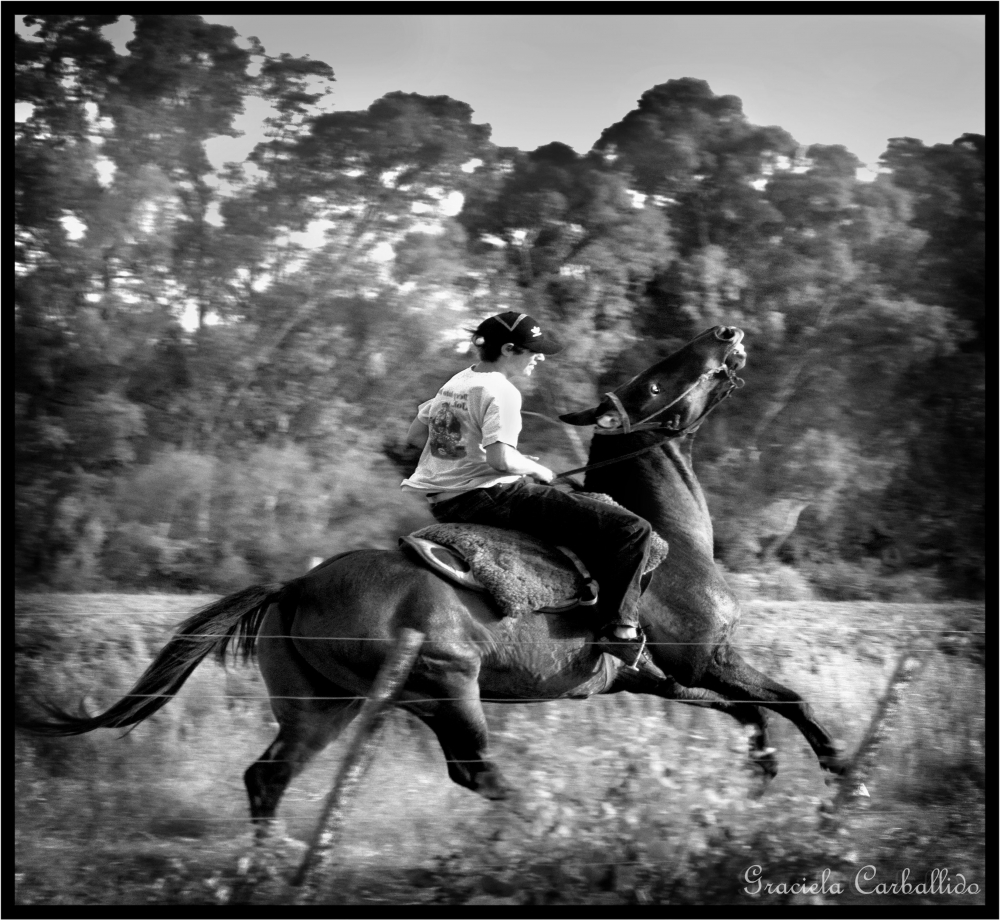 "`DE A CABALLO, EL MOZO!" de Graciela Carballido