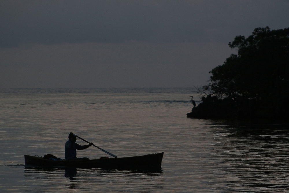 "El pescador y la garza" de Francisco Luis Azpiroz Costa