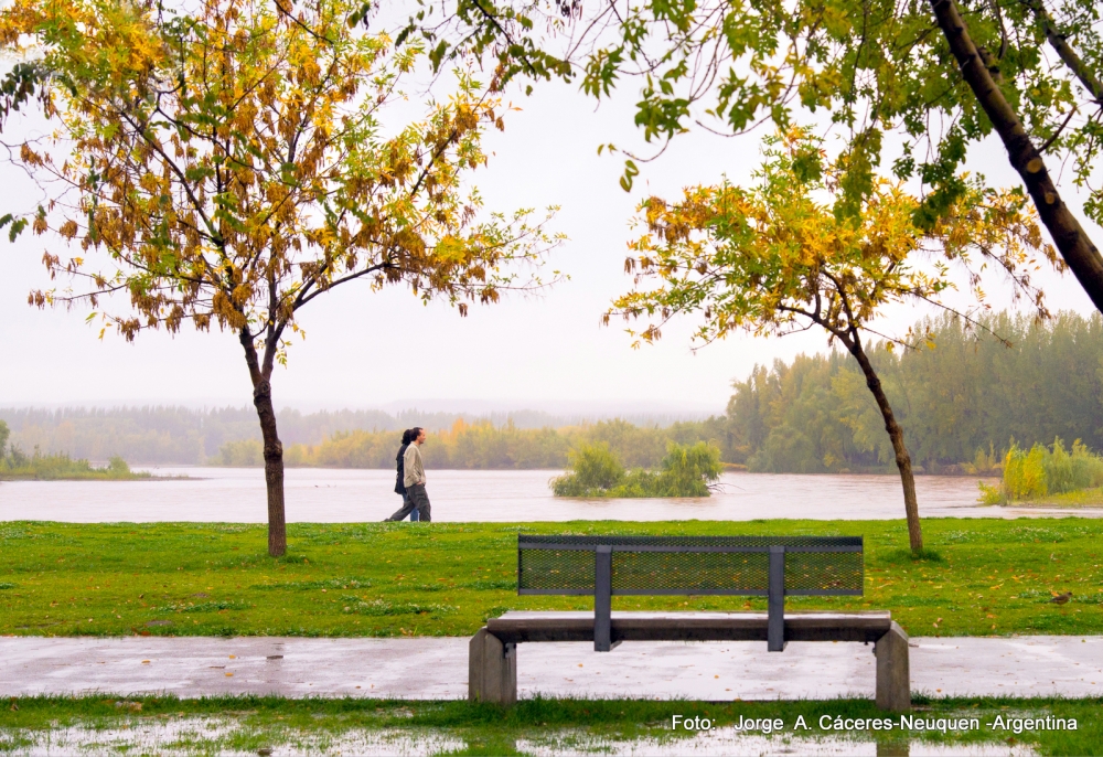 "`walking in the rain`" de Jorge A. Cceres