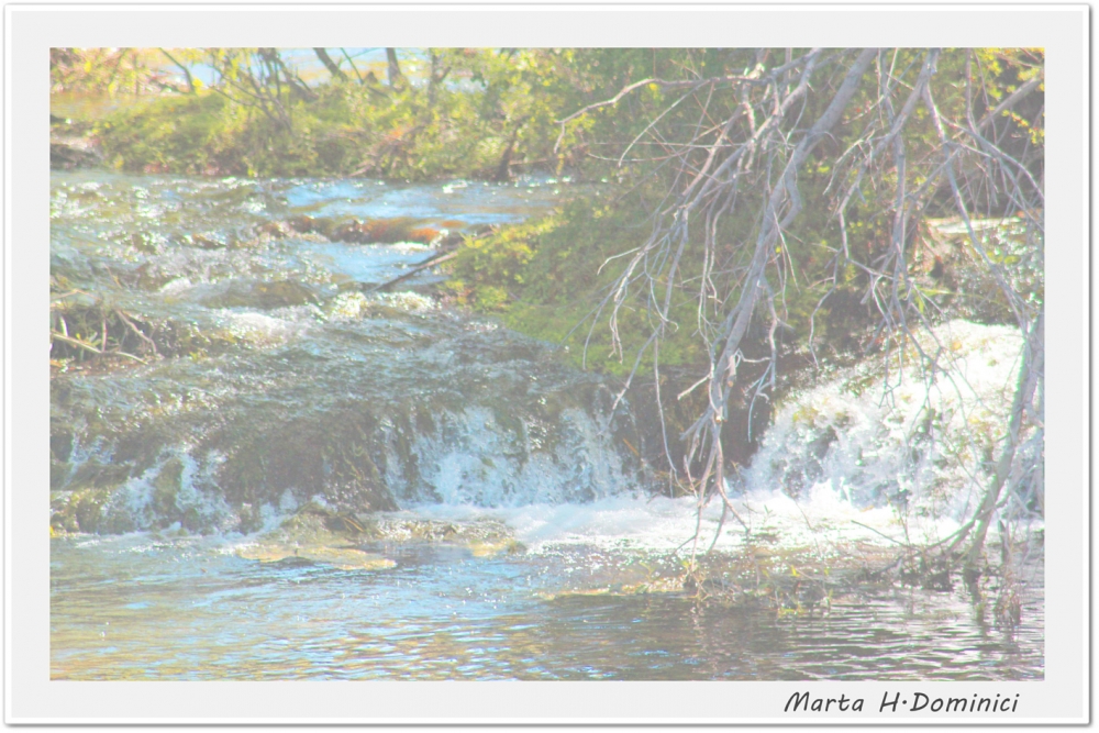 "Agua clara" de Marta Dominici