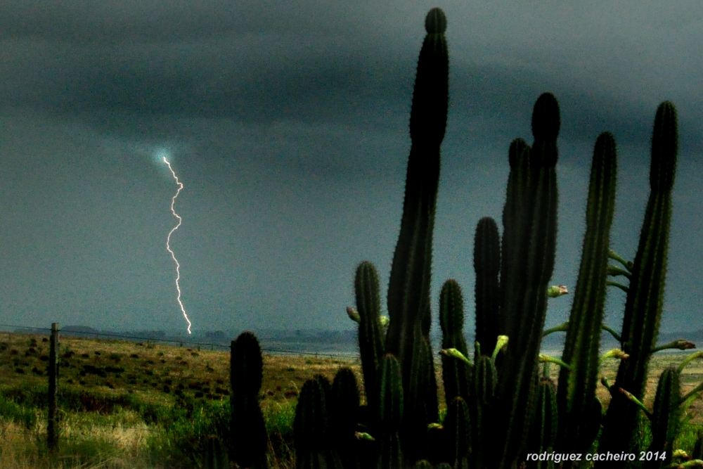 "La fuerza de la naturaleza" de Hctor Rodrguez Cacheiro