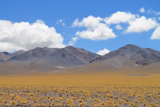 "Camino a los Seismiles" de Hugo Cortes