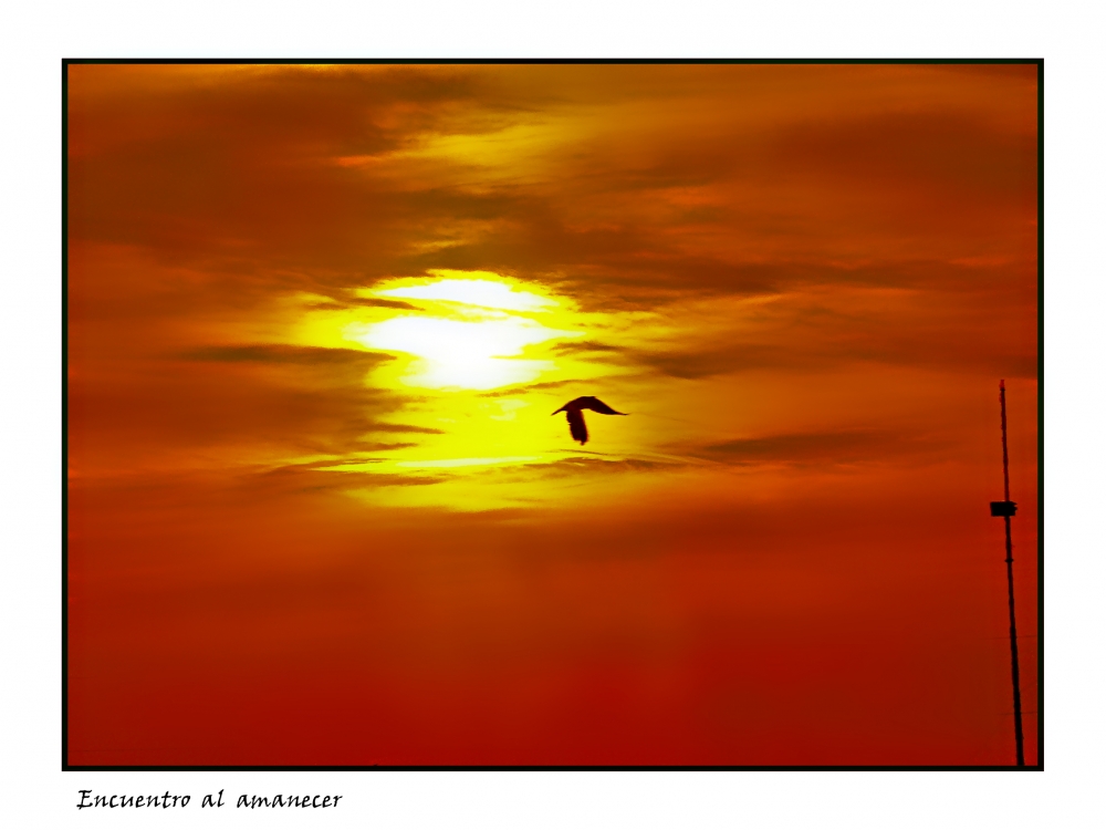 "Encuentro al amanecer" de Nora Lilian Iturbide ( Noral )