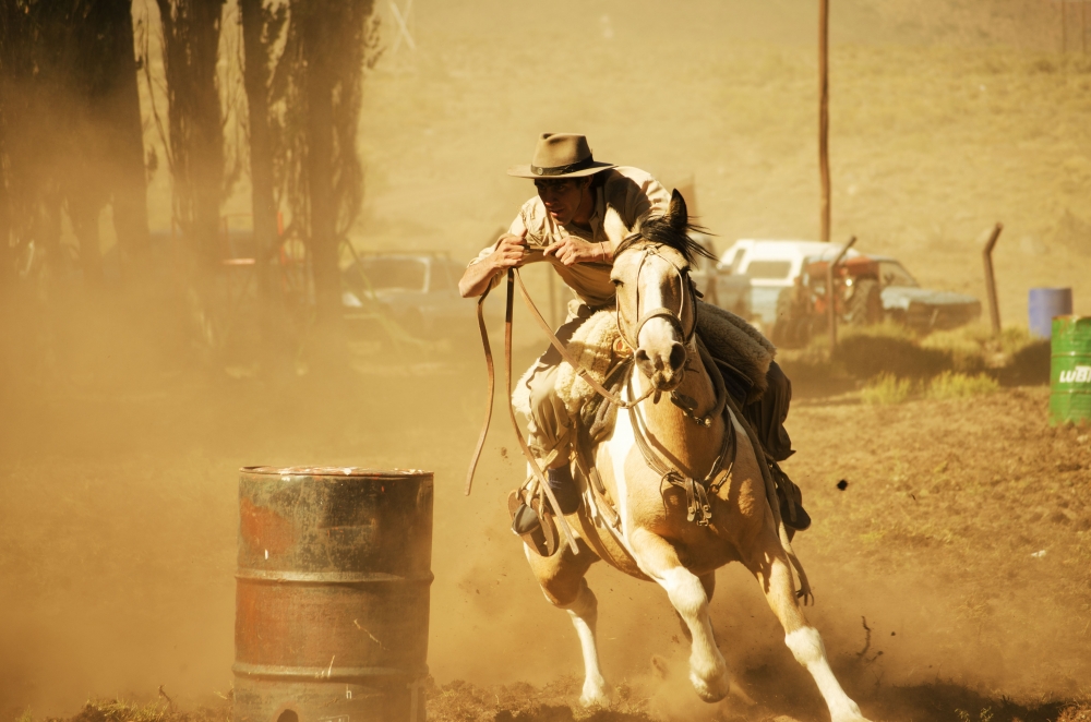 "destreza gaucha" de Gonzalo Jose Martin