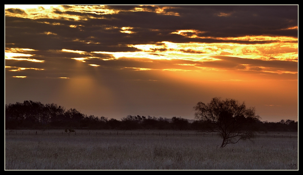 "Atardecer en soledad" de Silvana Garat