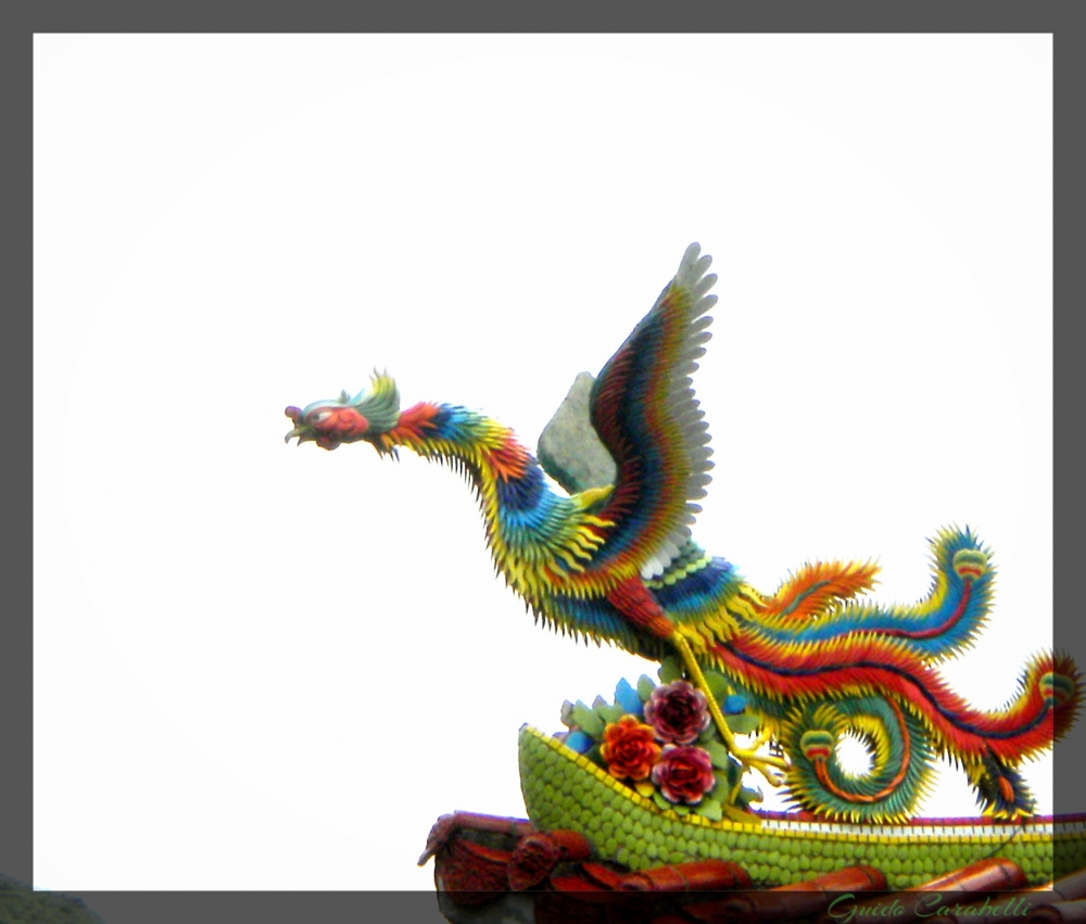 "Dragon volador" de Guido Carabelli