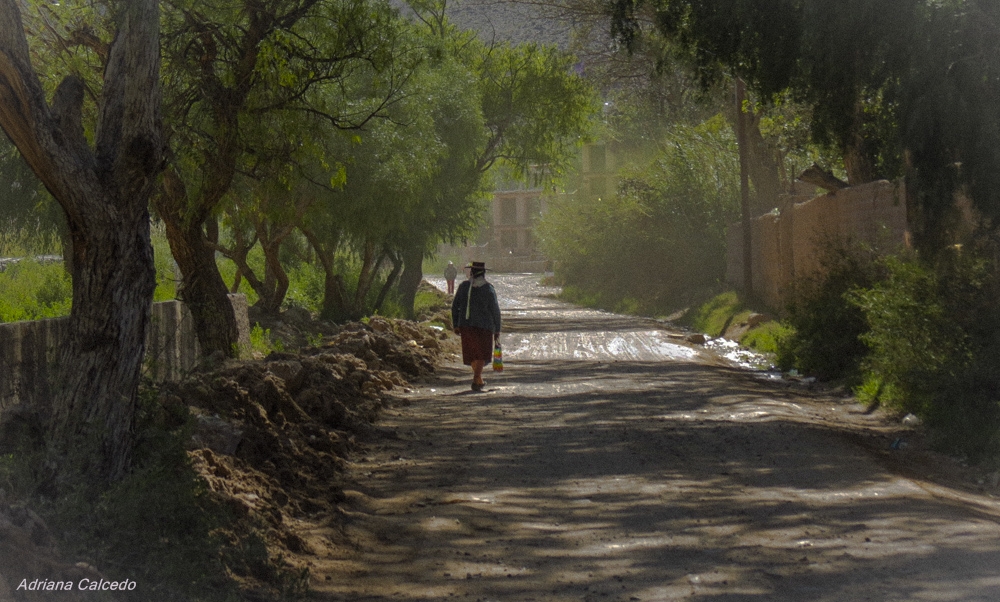 "Luisa en el camino" de Adriana Calcedo