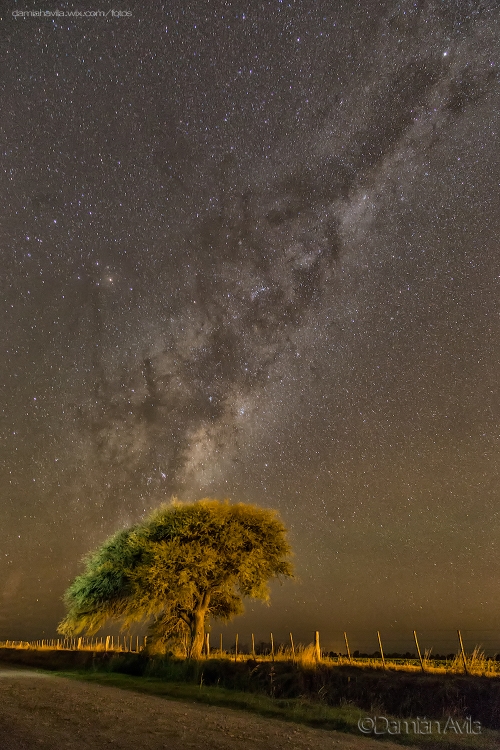 "Nocturna en Castex." de Damin Avila