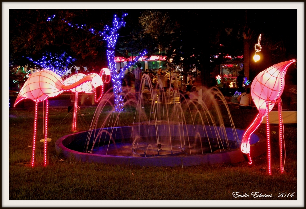 "Flamencos luminosos" de Emilio Echesuri