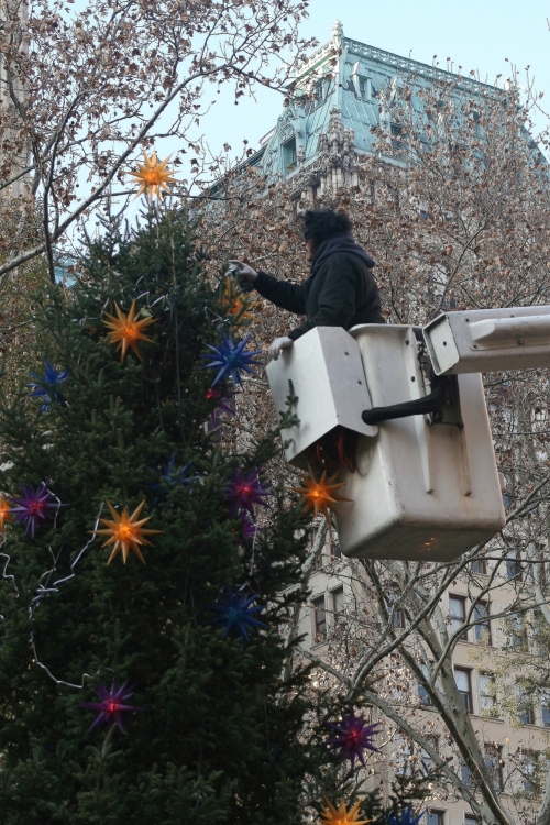 "Armando el rbol de Navidad" de Francisco Luis Azpiroz Costa