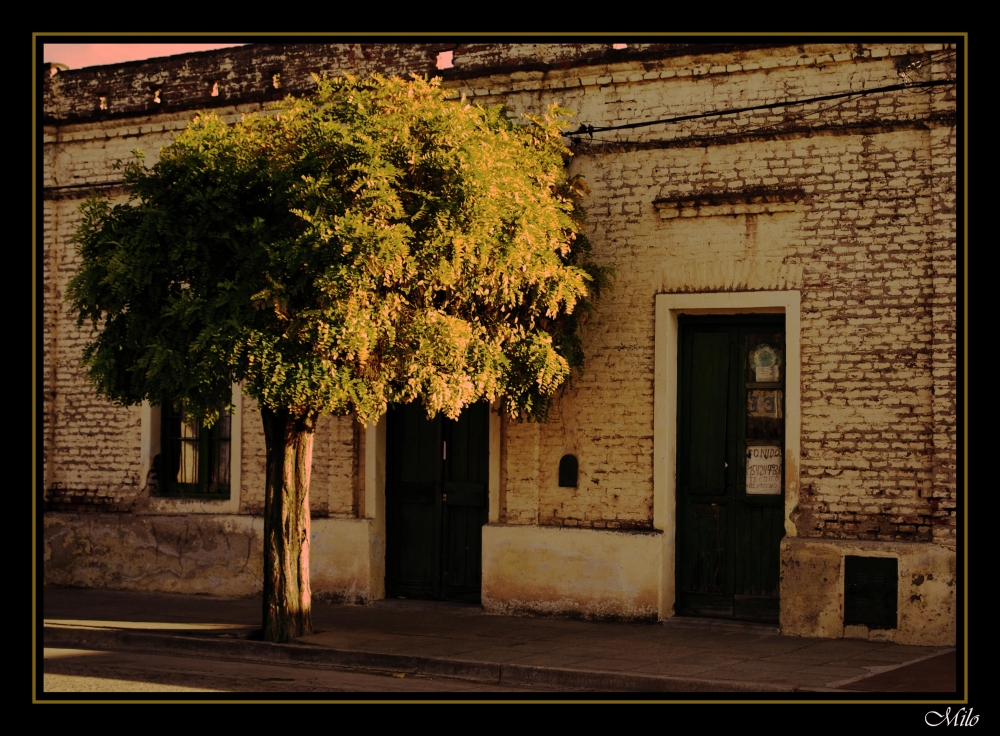 "`viejo barrio`" de Emilio Casas (milo)