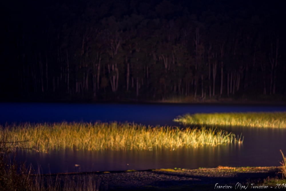 "Hua Hum nocturno" de Francisco Andres Torossian