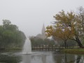` Niebla en la Plaza`