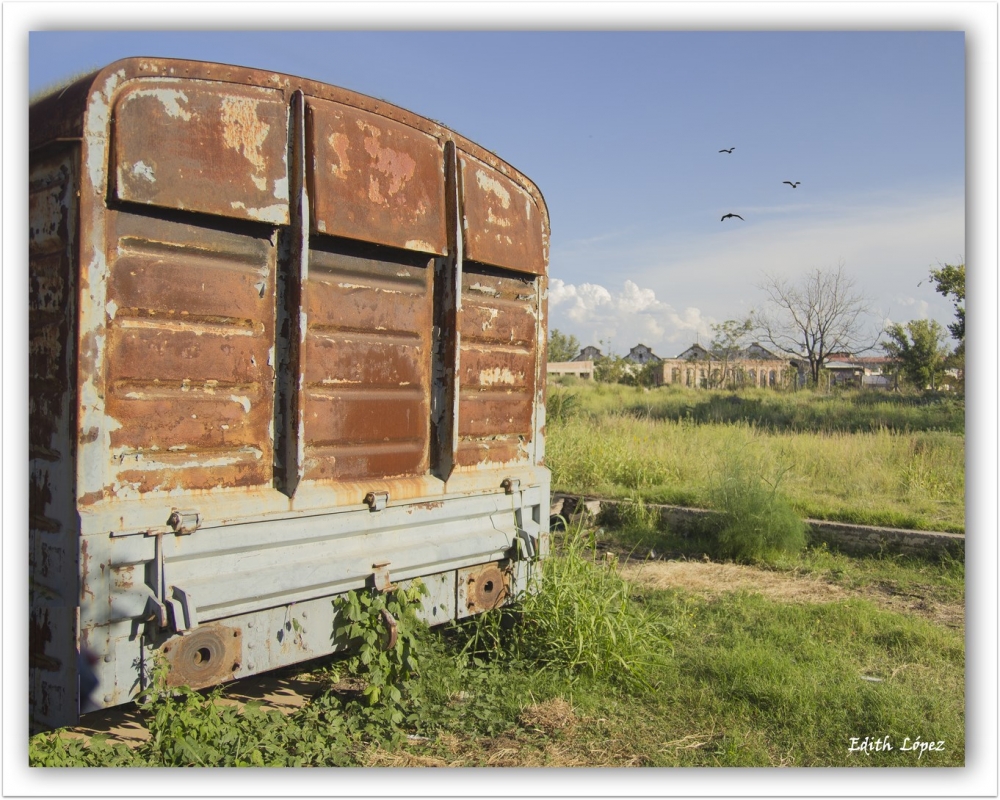 "El Viejo Vagn Oxidado" de Edith E. Lpez