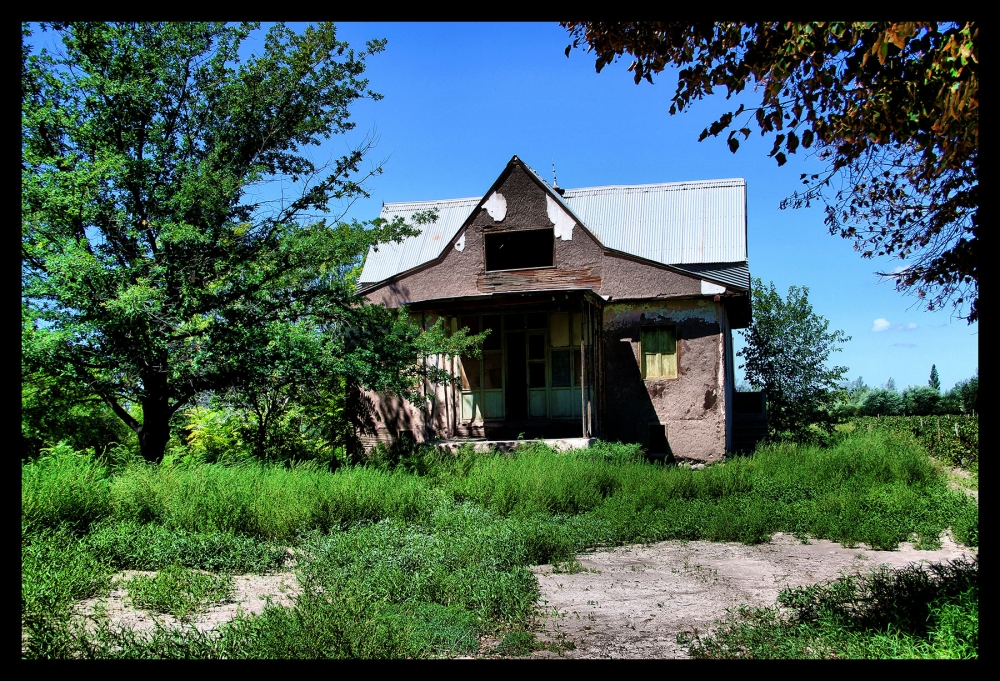 "ABANDONADAAAA!!!" de Maria Eugenia Cailly (euge)