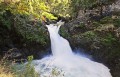 Cascada Los Alerces