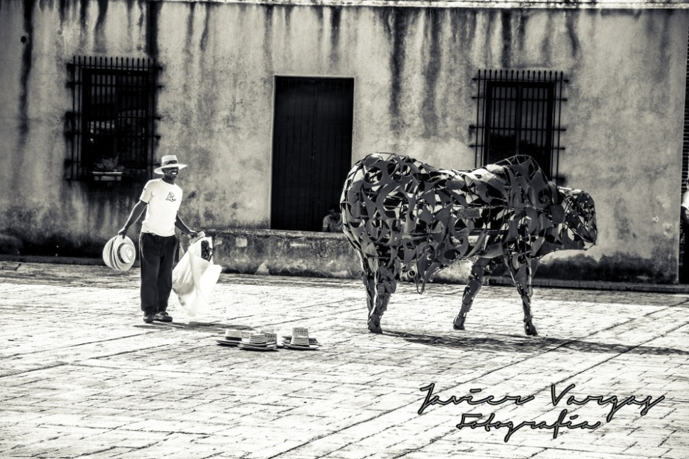 "El Sombrerero Dominicano" de Javier Vargas