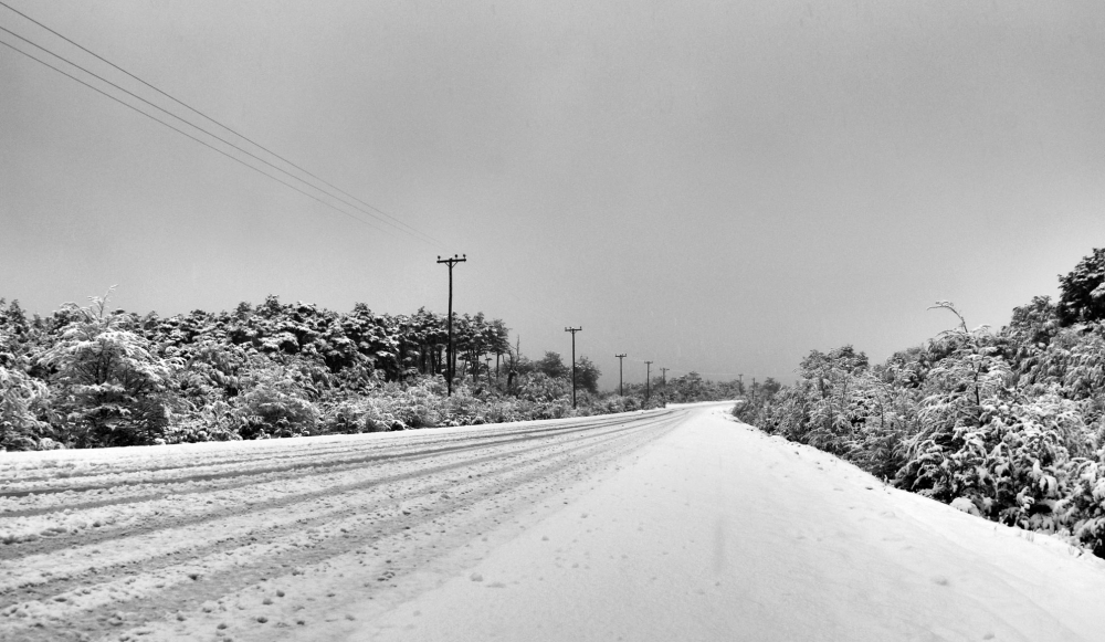 "Primeras nevadas" de Gisele Burcheri