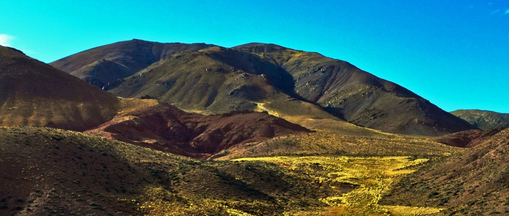 "La Rioja: formas, colores y texturas" de Mercedes Pasini