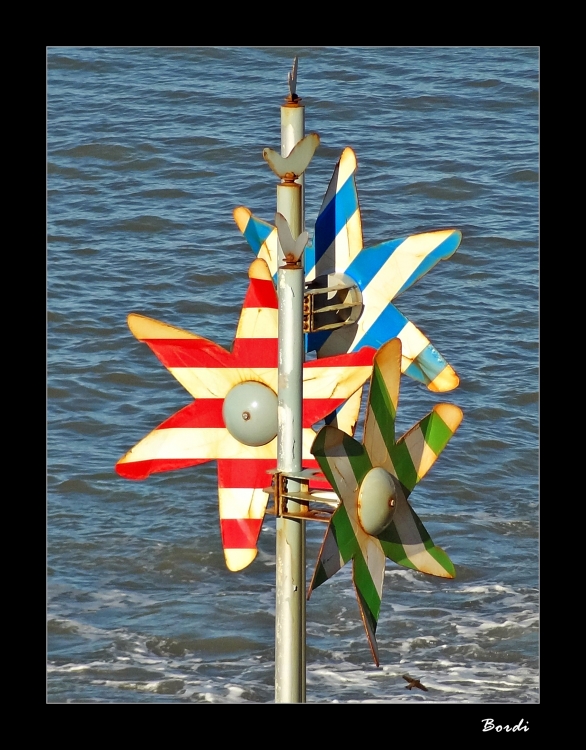 "Jugando con el viento" de Fernando Bordignon