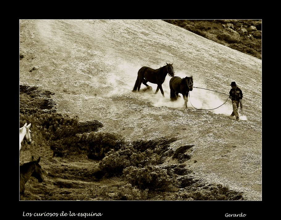 "Los curiosos de la esquina." de Gerardo Saint Martn