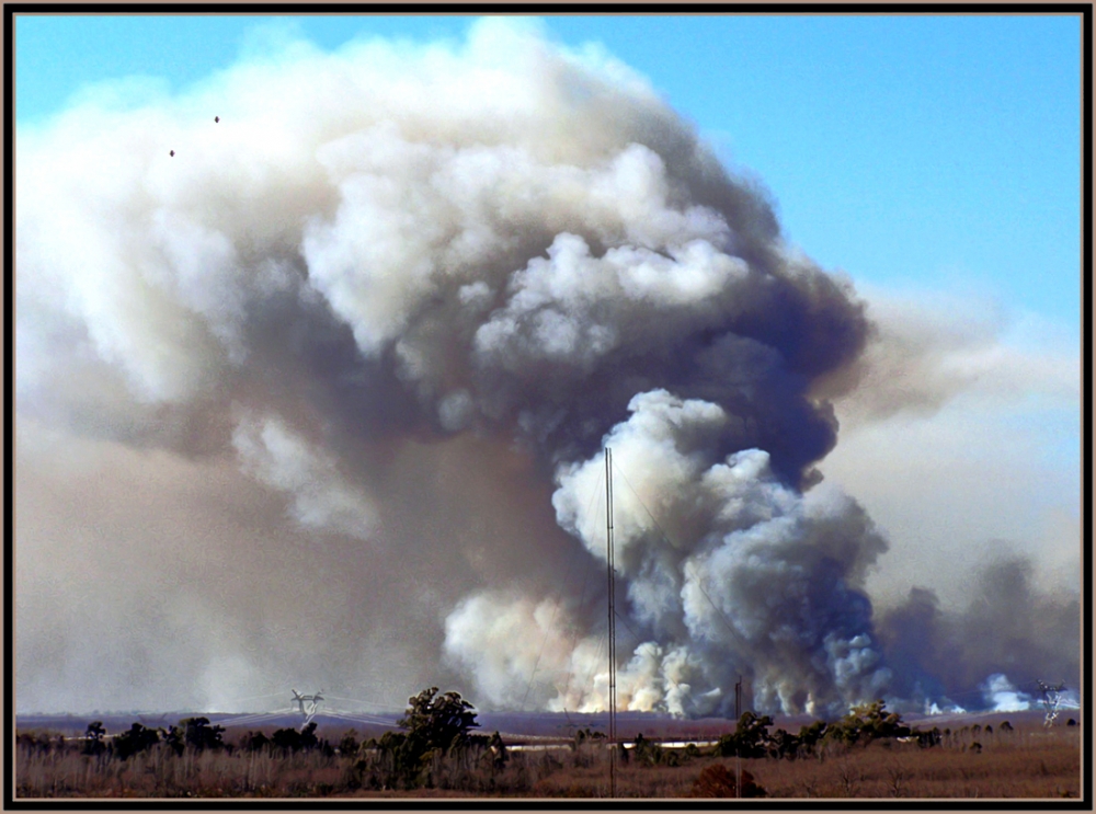 "Incendio en la Isla !! - ao 2008 ??" de Alberto Matteo