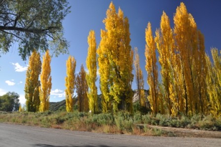 "otoo en mendoza, son cosas que invento el amor. ." de Jose Alberto Vicente