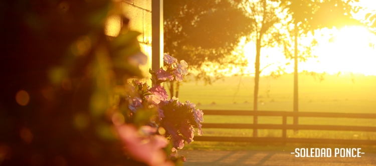 "Atardecer en ohaupo." de Soledad Ponce