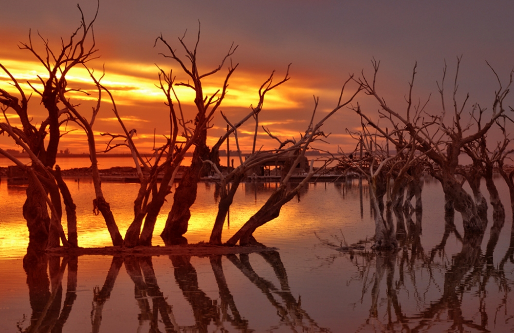 "Reflejo desolado... (2)" de Mercedes Orden