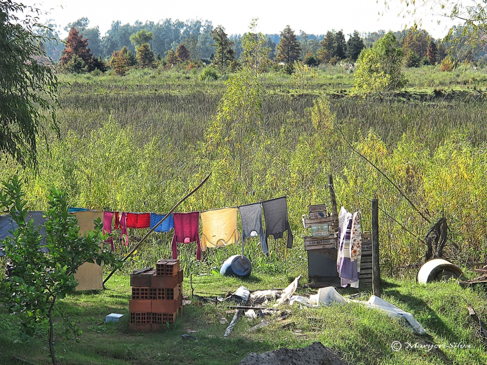 "Tender en el campo" de Maria Cristina Silva