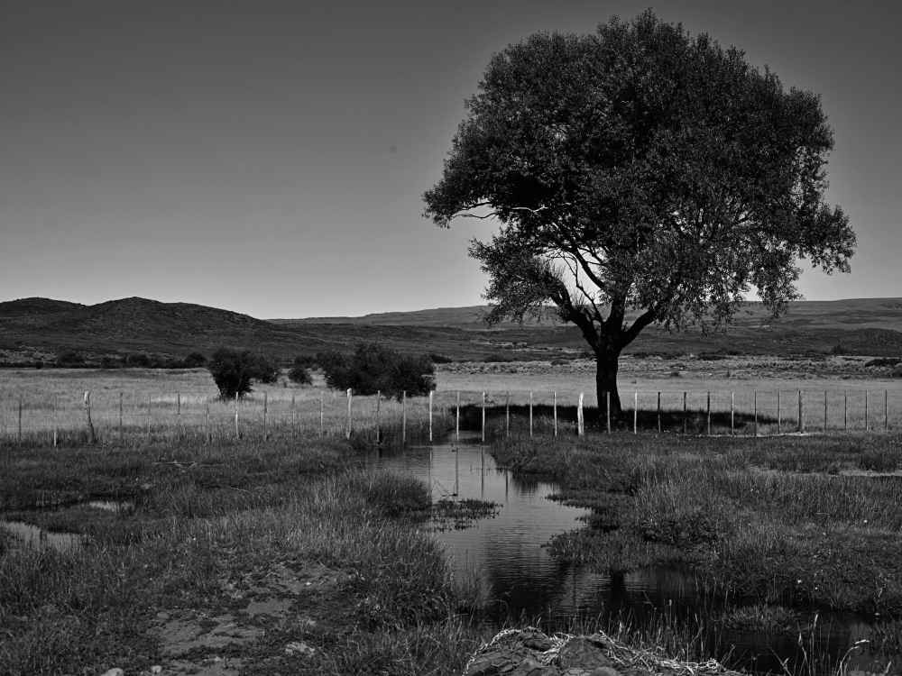 "Este es mi lugar." de Juan Daniel Rodriguez