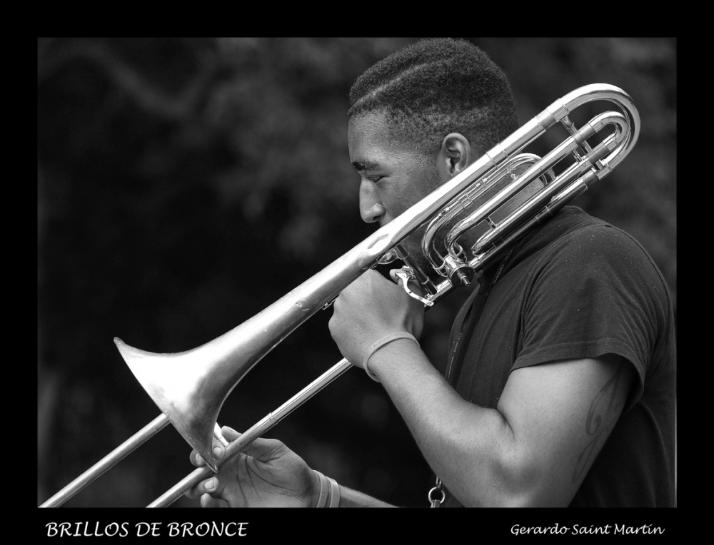 "Brillos de bronce" de Gerardo Saint Martn