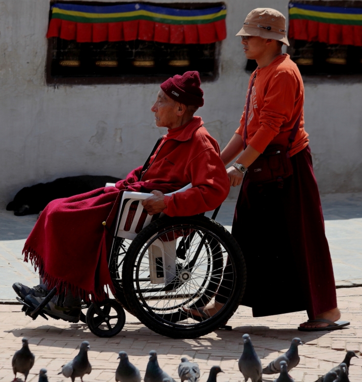 "Paseando al lama" de Francisco Luis Azpiroz Costa