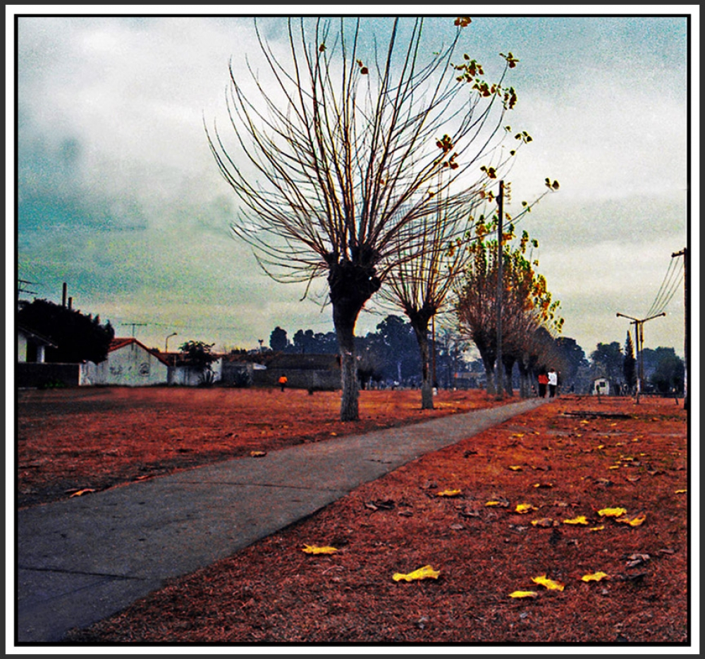 "Hacia el invierno" de Jorge Vicente Molinari