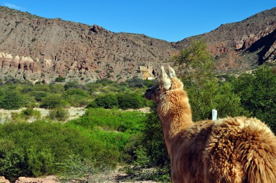 "Mira que bello paisaje!!!!" de Silvia Emilia Guerra