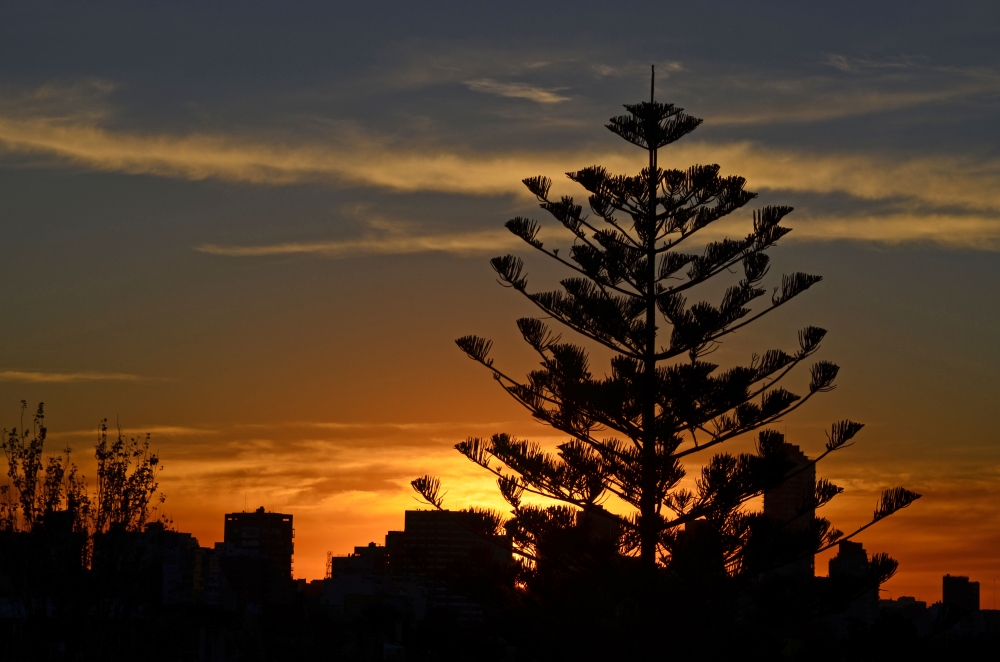 "El ocaso hoy 1 de junio" de Monica Rollan