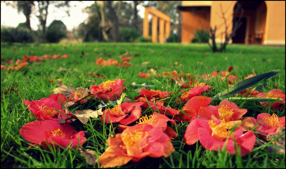 "Autunno" de Angeles Carballo