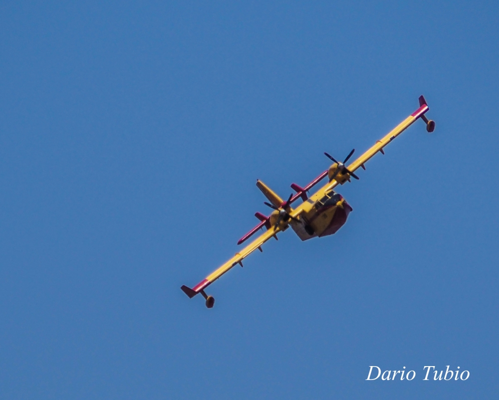 "Canadair" de Dario Tubio