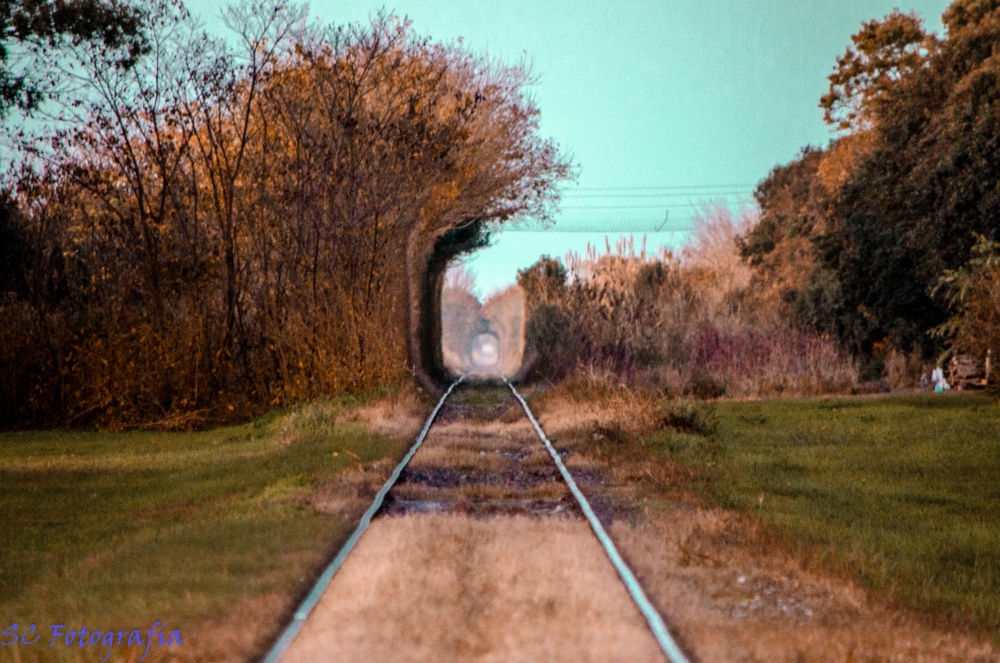 "el tren pasa una sola ves" de Sergio Campi