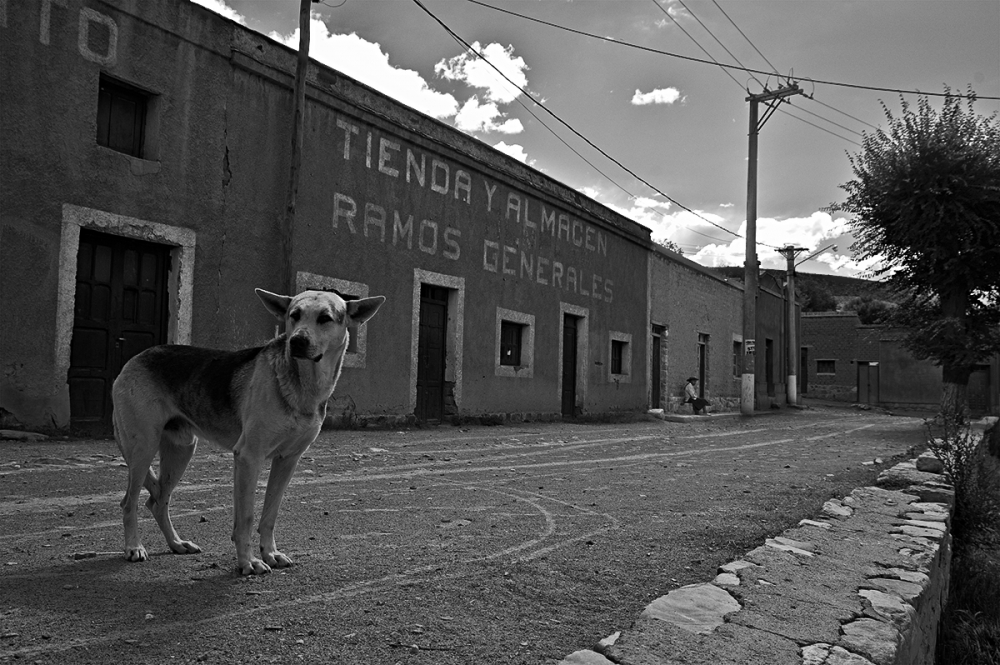 "El perro de Iturbe" de Sebastian Leonardi