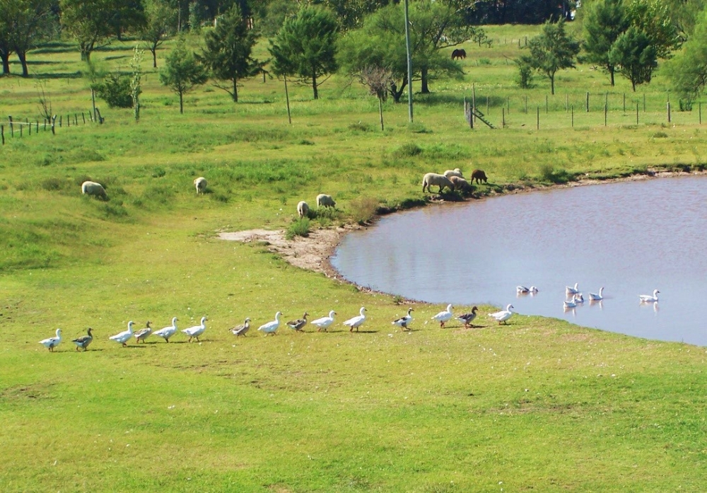 "`Formando fila de a uno chicos!`" de Jos Luis Mansur