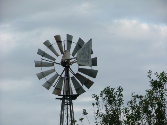 "viento norte" de Rubn Antonio Ulmer