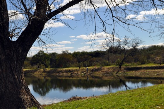 "Invierno junto al Lago..." de Silvia Emilia Guerra